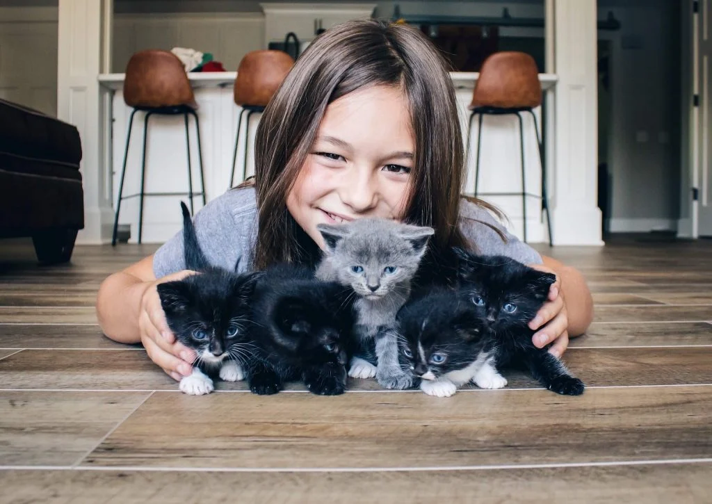 Refund and Returns Policy, munchkin cat for sale uk